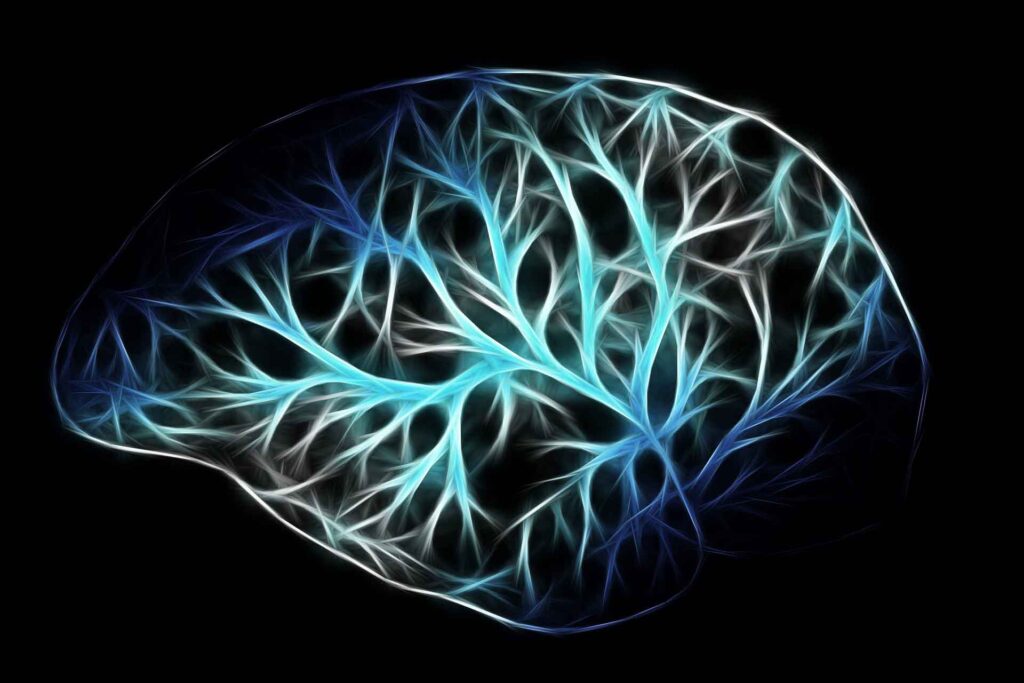 Photo illustrating the electrical pathways in the brain.