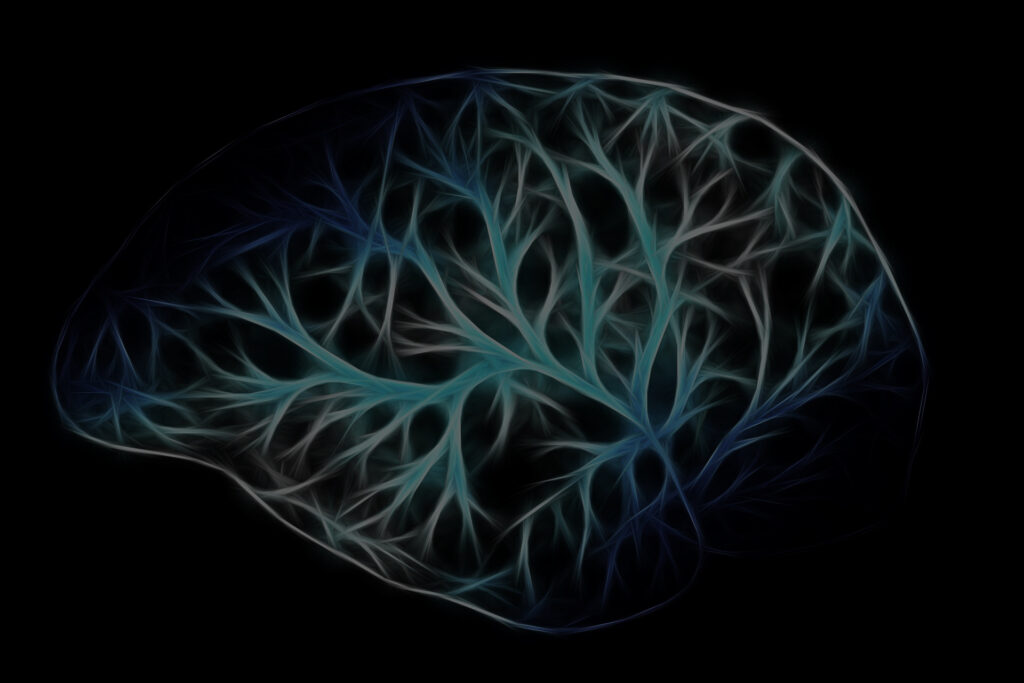 Photo of a brain showing how the neurons fire.